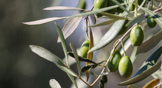 Thumbnail for 7027252