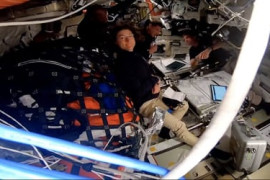 Thumbnail for 7027290