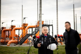 Thumbnail for 7027422