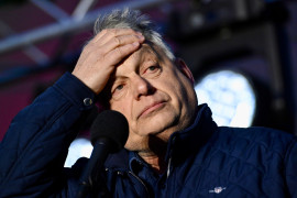 Thumbnail for 7027537