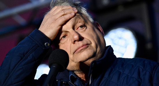 Thumbnail for 7027537