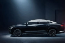 Thumbnail for 7027539