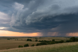 Thumbnail for 7027639