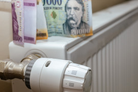 Thumbnail for 7028132