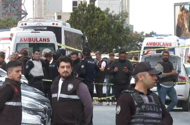 Thumbnail for 7028140