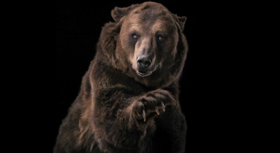 Thumbnail for 7028150