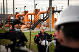 Thumbnail for 7028282