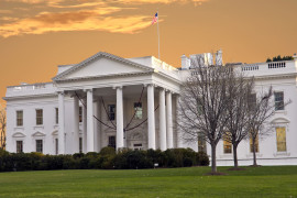 Thumbnail for 7028405