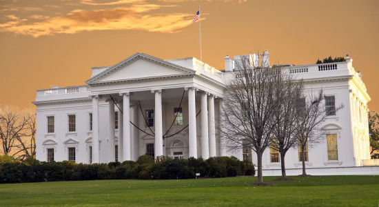 Thumbnail for 7028405