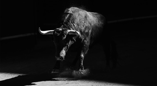 Thumbnail for 7028591