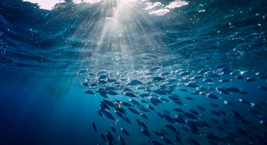 Thumbnail for 7028596