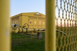 Thumbnail for 7028631