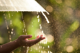 Thumbnail for 7028702