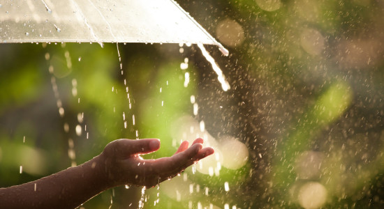 Thumbnail for 7028702