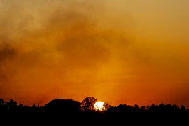 Thumbnail for 7028836