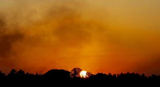 Thumbnail for 7028836