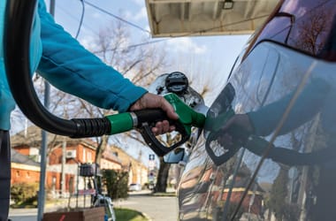 Thumbnail for 7029460