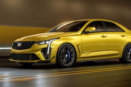 Thumbnail for 7029468