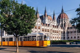 Thumbnail for 7029691