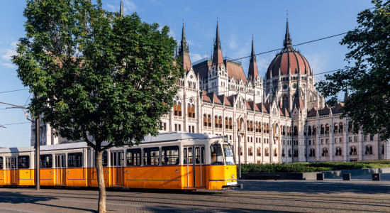 Thumbnail for 7029691