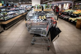 Thumbnail for 7029738