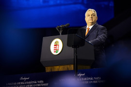 Thumbnail for 7030100