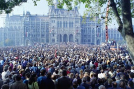 Thumbnail for 7030136