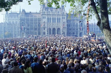 Thumbnail for 7030136