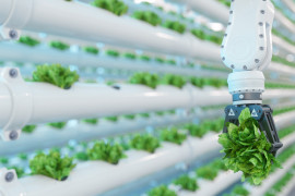 Thumbnail for 7030258