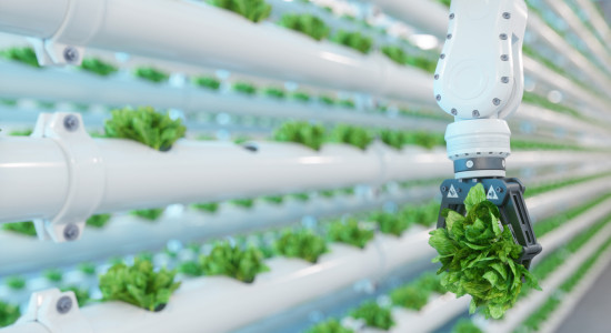 Thumbnail for 7030258