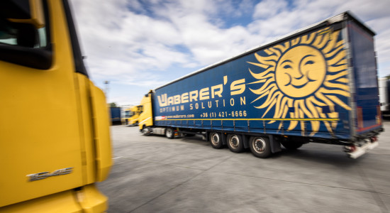 Thumbnail for 7030345