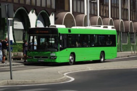 Thumbnail for 7030393