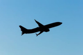 Thumbnail for 7030398