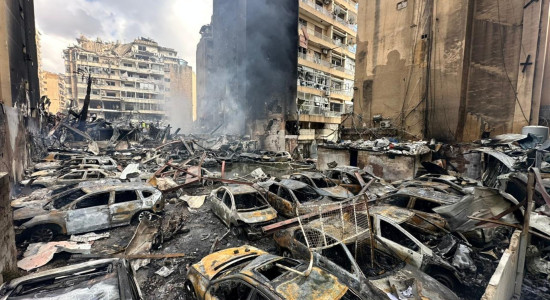 Thumbnail for 7030578