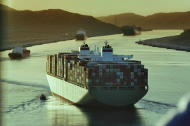 Thumbnail for 7030641