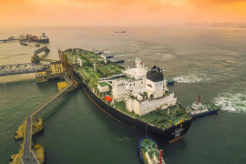 Thumbnail for 7030918