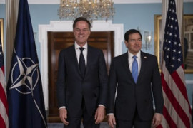 Thumbnail for 7030943