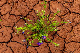 Thumbnail for 7030948