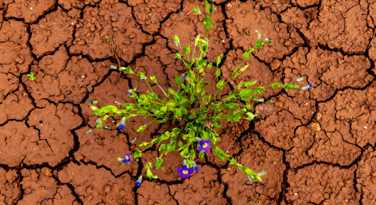 Thumbnail for 7030948