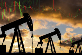 Thumbnail for 7031030