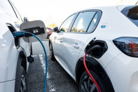 Thumbnail for 7031096