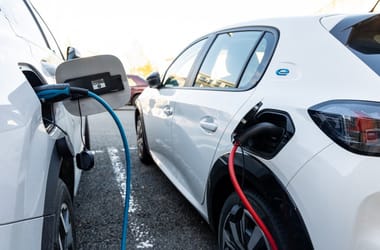 Thumbnail for 7031096