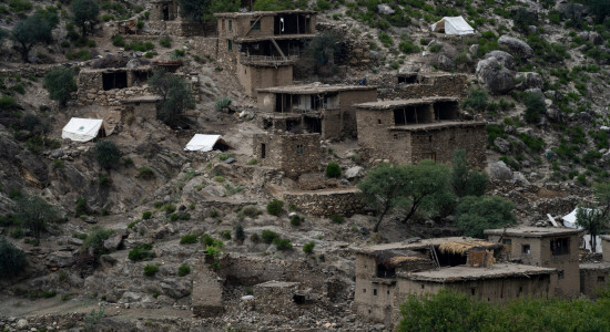 Thumbnail for 7031103