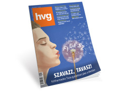 Thumbnail for 7031155