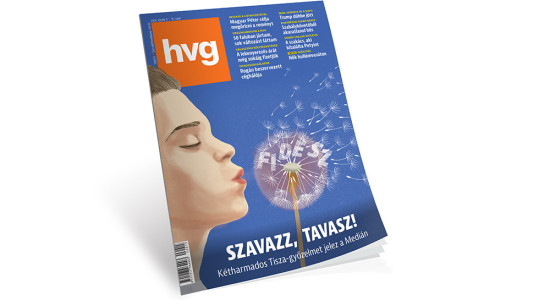 Thumbnail for 7031155