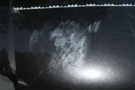 Thumbnail for 7031246