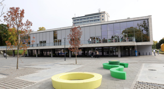 Thumbnail for 7031264