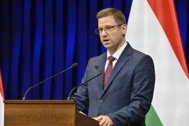 Thumbnail for 7031386