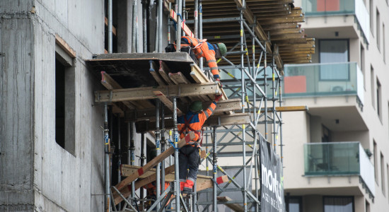 Thumbnail for 7031476