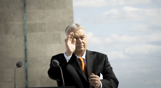 Thumbnail for 7031687